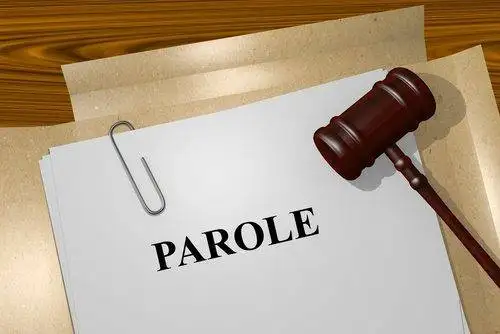 The Consequences of Parole Violations in South Carolina